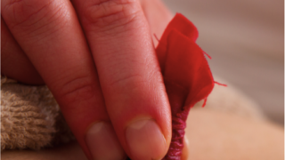 Hor Me ou Moxa Mongol (cours intensif) :  11-12 mars 2026